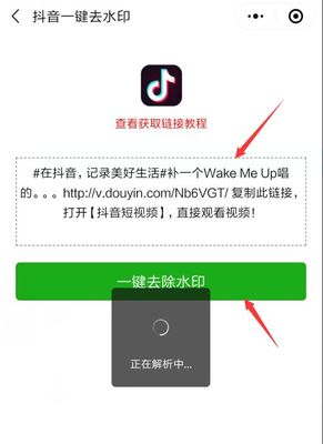 怎么抖音去水印，让你的视频轻松纯净